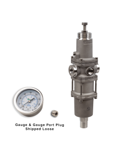 Filter Regulator, 1/4"NPT, 5 micron, SST w/Gauge