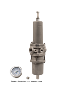 Filter Regulator, 1"NPT, 40 micron, SST w/Gauge