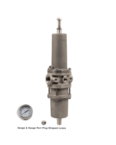 NACE Filter Regulator, 1"NPT, 40 micron, SST w/Gauge
