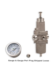 NACE Filter Regulator, 1/4"NPT, 25 micron, SST w/Gauge