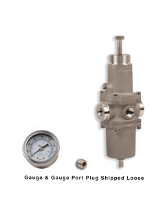 Filter Regulator, 1/4"NPT, 25 micron, SST w/Gauge