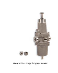 NACE Filter Regulator, 1/4"NPT, 40 micron, SST