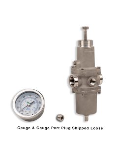 NACE Filter Regulator, 1/2"NPT, 25 micron, SST w/Gauge