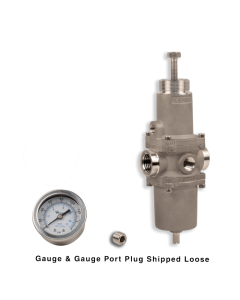 NACE Filter Regulator, 1/2"NPT, 5 micron, SST w/Gauge