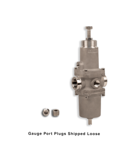 NACE Filter Regulator, 1/2"NPT, 25 micron, SST
