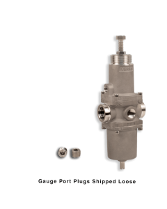 NACE Filter Regulator, 1/2"NPT, 25 micron, SST