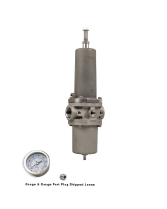 Filter Regulator, 1"NPT, 5 micron, SST w/Gauge