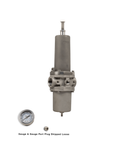 NACE Filter Regulator, 1"NPT, 5 micron, SST w/Gauge
