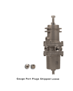 Filter Regulator, 1/4"NPT, 25 micron PE, SST