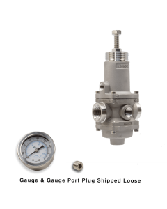 NACE Regulator, 1/2", SST w/Gauge